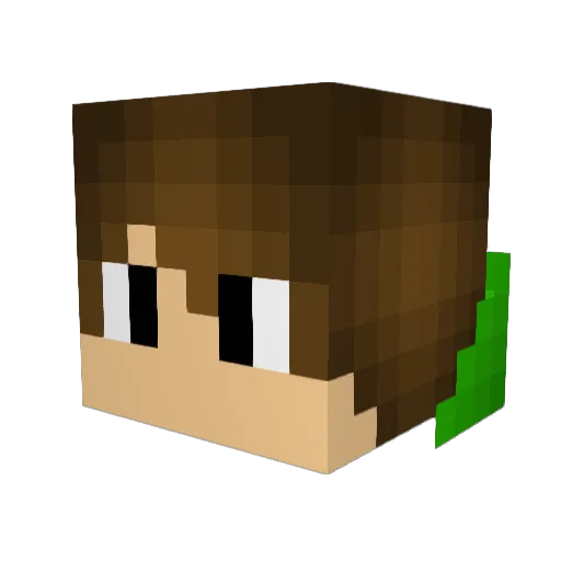 Leighton8829 Minecraft avatar head, 3D render