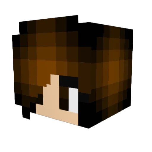 LeightonB1 Minecraft avatar head, 3D render