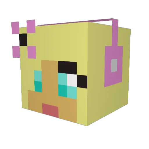 LeiiDy Minecraft avatar head, 3D render