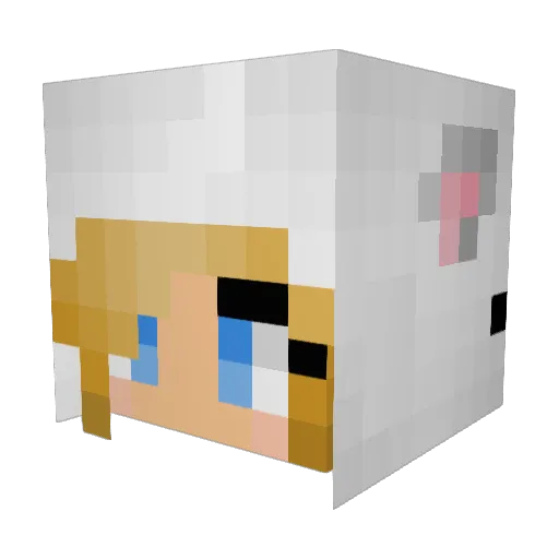 Leikei_ Minecraft avatar head, 3D render