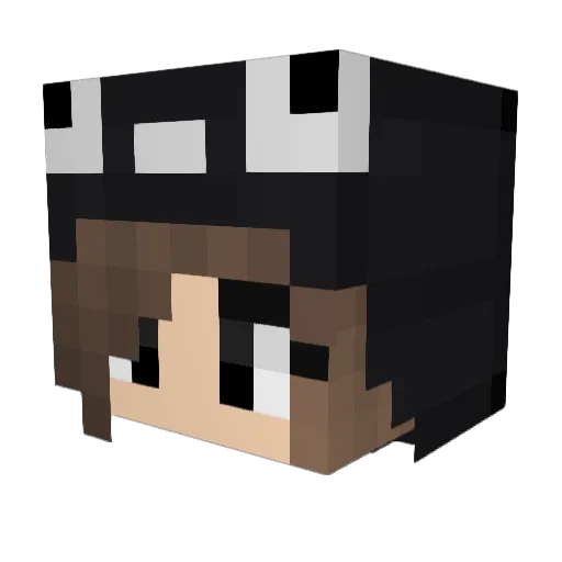Leikotha123 Minecraft avatar head, 3D render