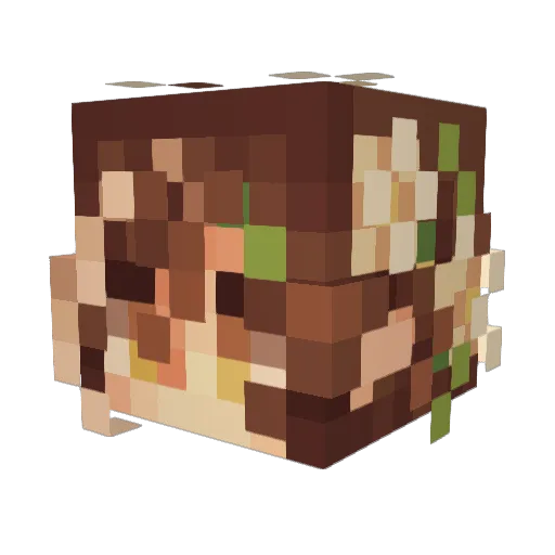 Leila_VT Minecraft avatar head, 3D render