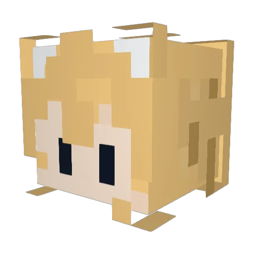 Leilan_TC Minecraft avatar head, 3D render