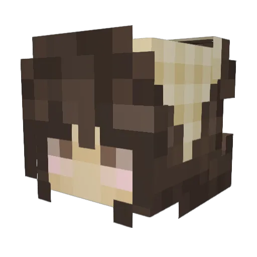 LeilawithanE Minecraft avatar head, 3D render