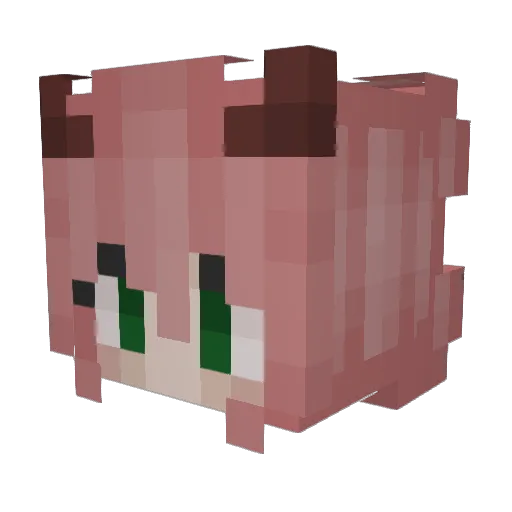 Leinali Minecraft avatar head, 3D render