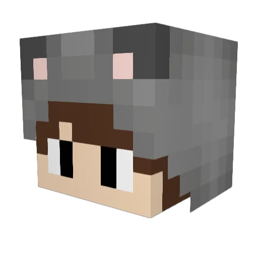 Leinir Minecraft avatar head, 3D render
