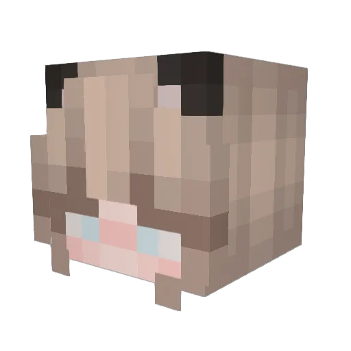 Leiny_H Minecraft avatar head, 3D render