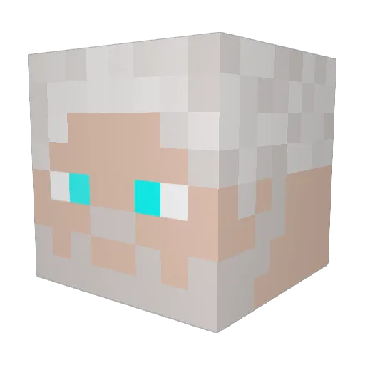 Leirbba Minecraft avatar head, 3D render