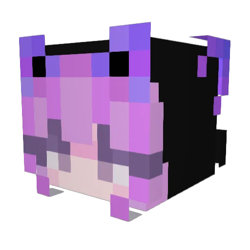 Leisures Minecraft avatar head, 3D render