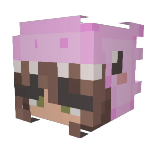 Leithon Minecraft avatar head, 3D render