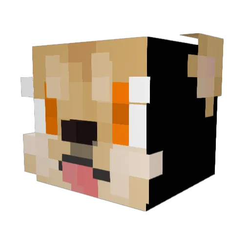 Leito221 Minecraft avatar head, 3D render