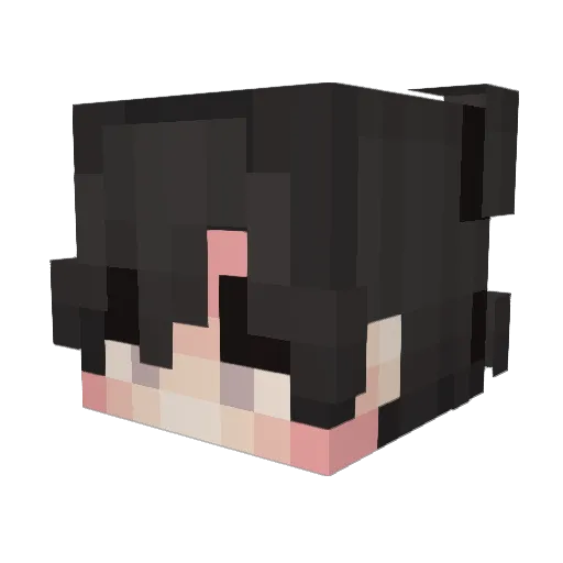 LekiKnows Minecraft avatar head, 3D render