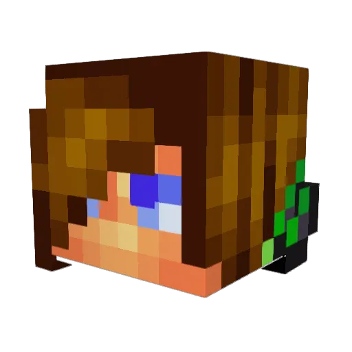 Lekim16 Minecraft avatar head, 3D render