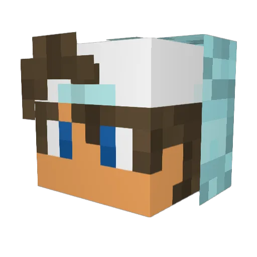 Lekkerbek2005 Minecraft avatar head, 3D render
