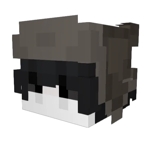 Leksyka Minecraft avatar head, 3D render