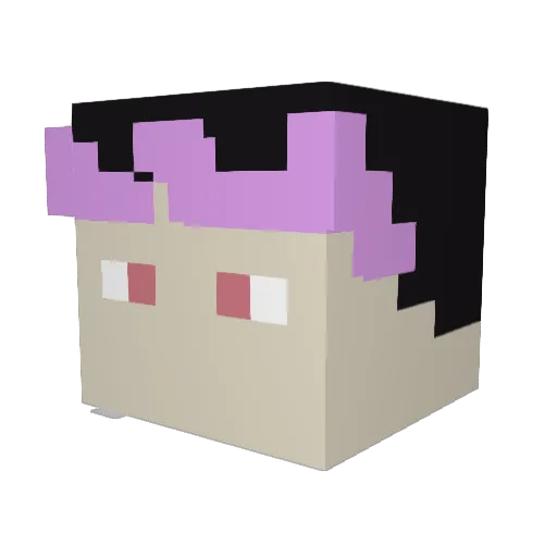 Lektoor Minecraft avatar head, 3D render