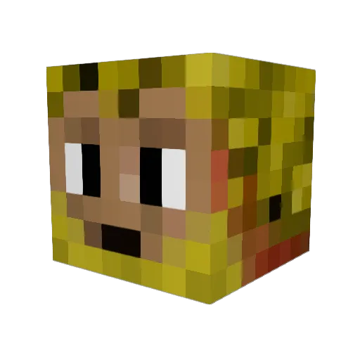 Lektronic Minecraft avatar head, 3D render