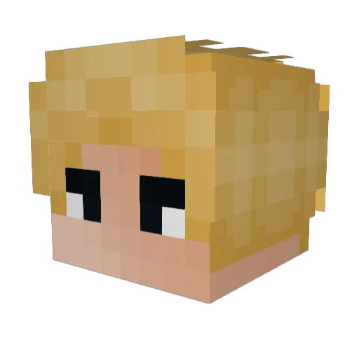 Leku12333 Minecraft avatar head, 3D render