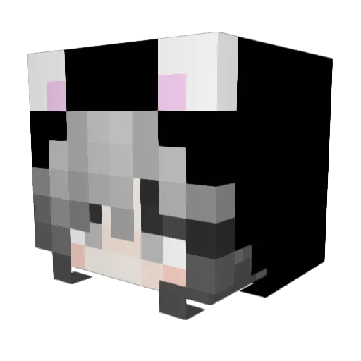 Lela20031005 Minecraft avatar head, 3D render