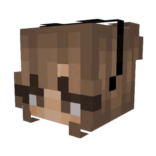 Lelakinho Minecraft avatar head, 3D render