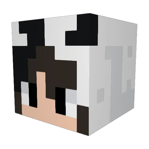 Lele9093 Minecraft avatar head, 3D render