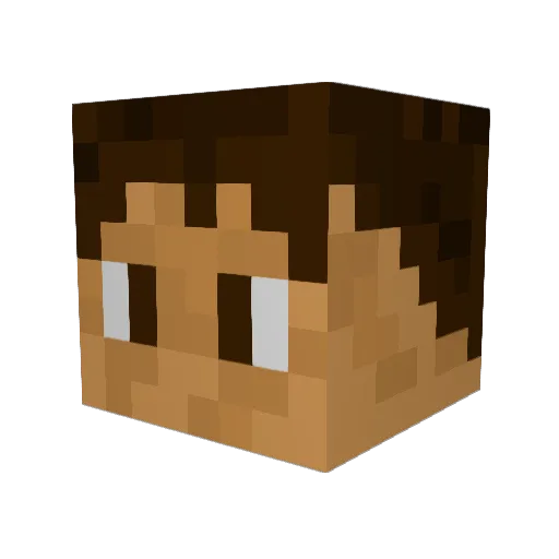 Lelec0 Minecraft avatar head, 3D render