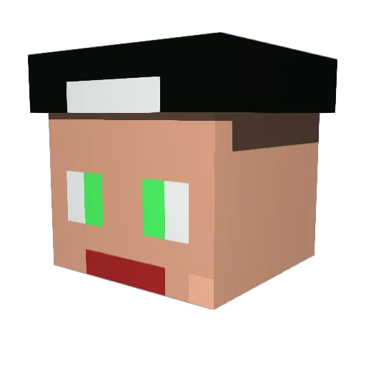 Leleck00 Minecraft avatar head, 3D render