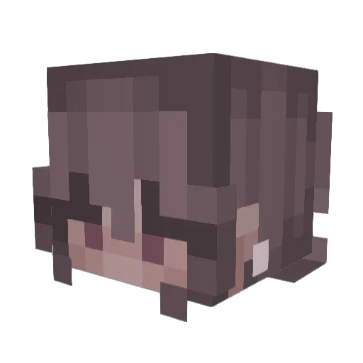 Lelecool25 Minecraft avatar head, 3D render