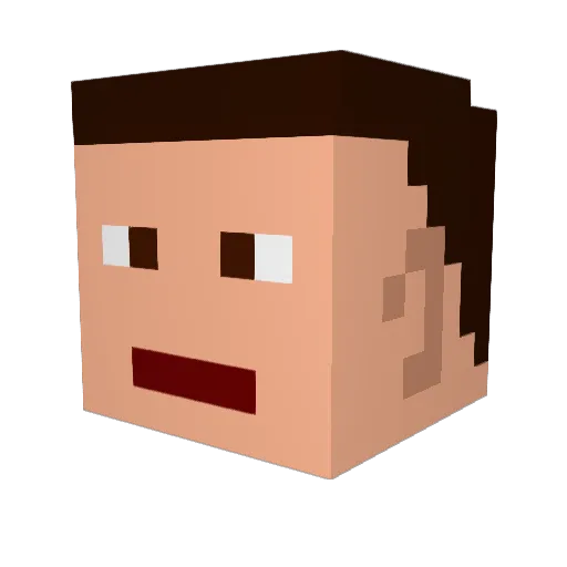 Lelego21 Minecraft avatar head, 3D render