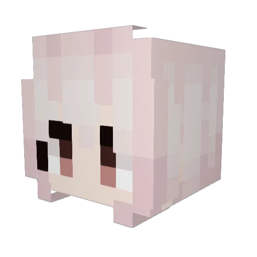 LeleoGamerBr Minecraft avatar head, 3D render