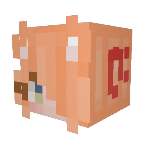 Leleony Minecraft avatar head, 3D render