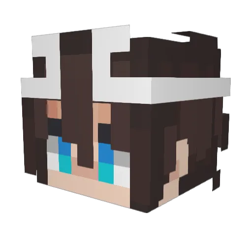 Leli60 Minecraft avatar head, 3D render