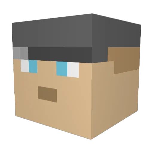 Lelle060 Minecraft avatar head, 3D render