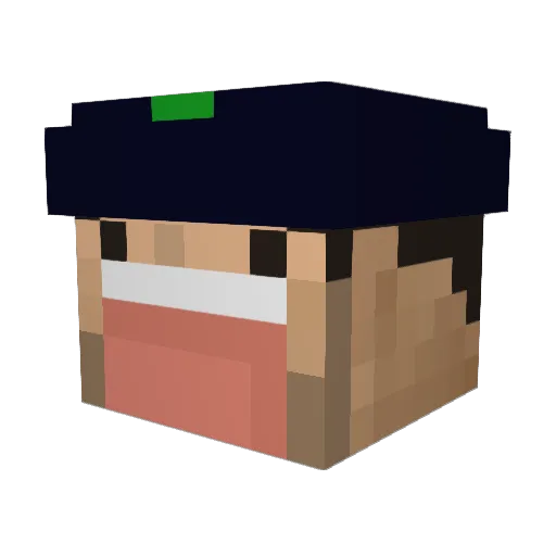 Lelle09 Minecraft avatar head, 3D render