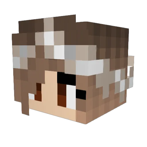 Lelle1994 Minecraft avatar head, 3D render