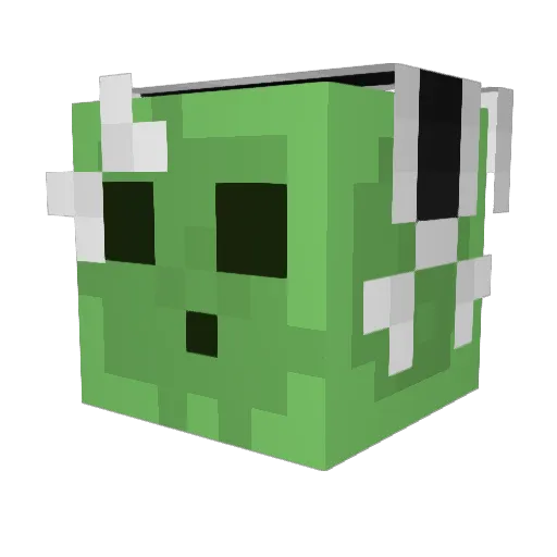 LelliRose Minecraft avatar head, 3D render