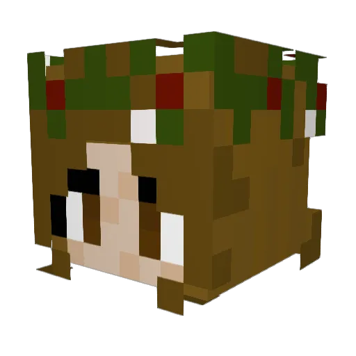Lelna75 Minecraft avatar head, 3D render