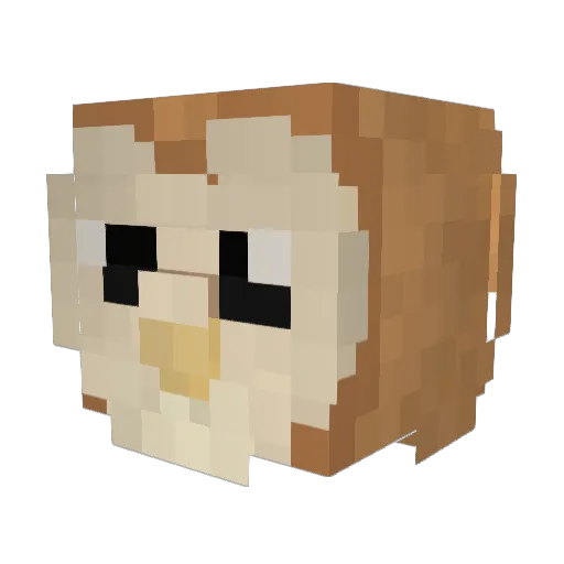 Lelo101 Minecraft avatar head, 3D render