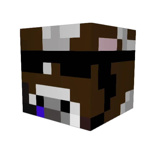 Lem0nface1916 Minecraft avatar head, 3D render