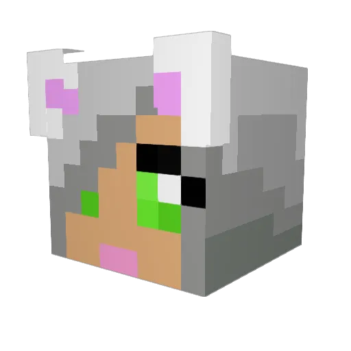 Lemmiewinks89 Minecraft avatar head, 3D render