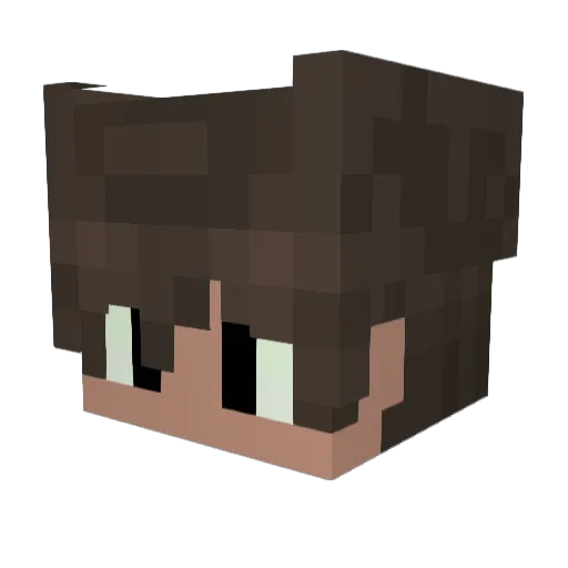 Lemming1337 Minecraft avatar head, 3D render