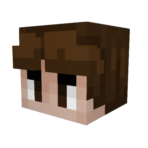 LemmingRafa57 Minecraft avatar head, 3D render