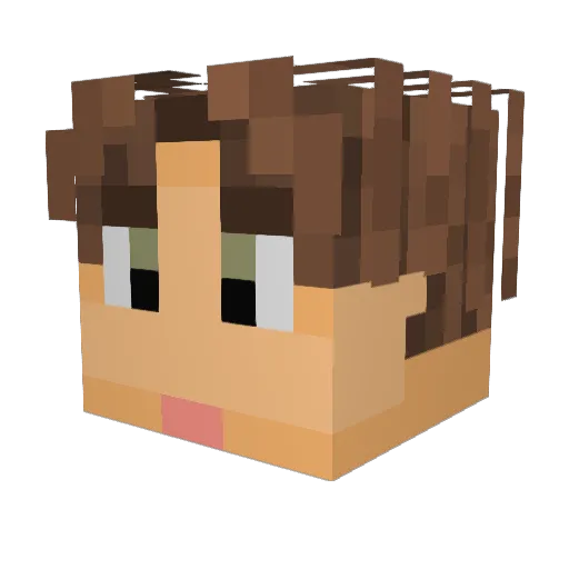 Lemmium Minecraft avatar head, 3D render