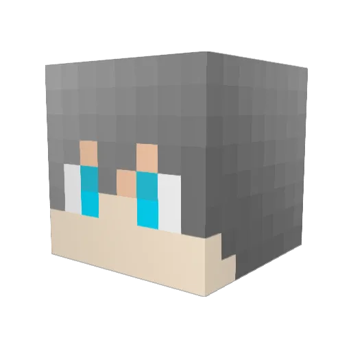 Lemon10247 Minecraft avatar head, 3D render