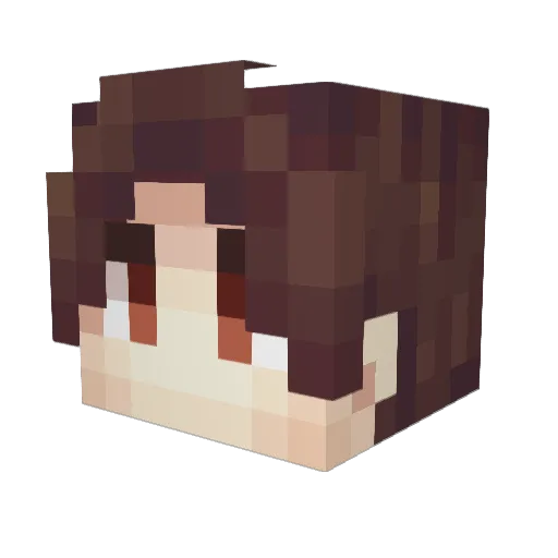 Lemon323 Minecraft avatar head, 3D render