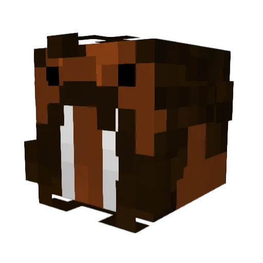 Lemon505 Minecraft avatar head, 3D render