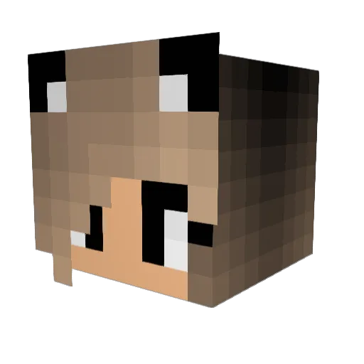 LemonCake_123 Minecraft avatar head, 3D render