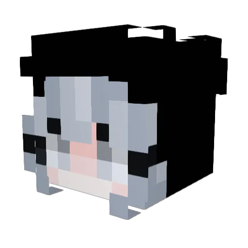 LemonCat1106 Minecraft avatar head, 3D render