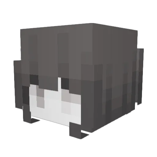 LemonCeiling787 Minecraft avatar head, 3D render
