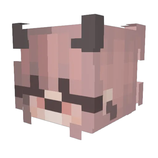 LemonJuice5620 Minecraft avatar head, 3D render